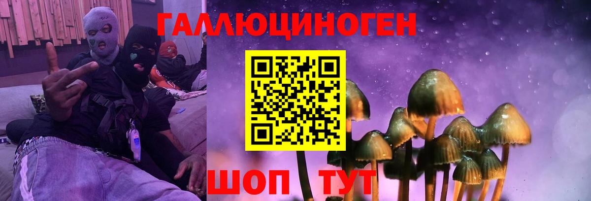 Псилоцибиновые грибы Cubensis  Галлюциногенные грибы Psilocybine cubensis  дарнет шоп  Томск  Вход с VPN 